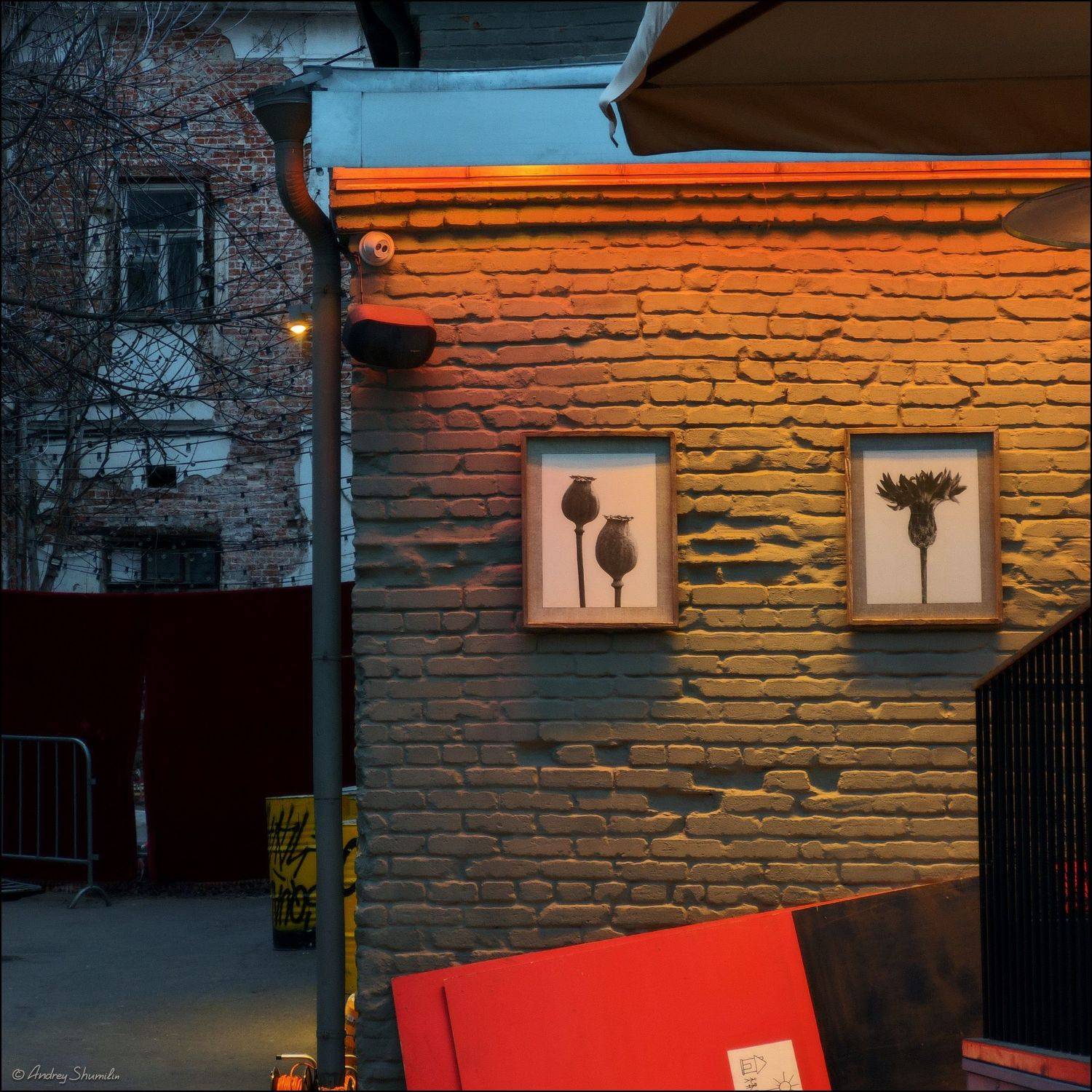 москва, дворы, Андрей Шумилин