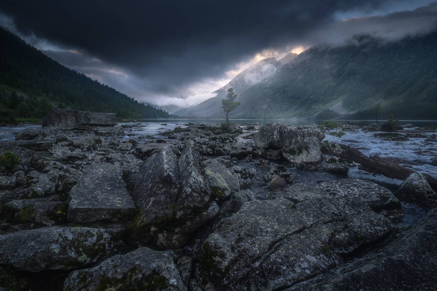 , Владимир Ляпин