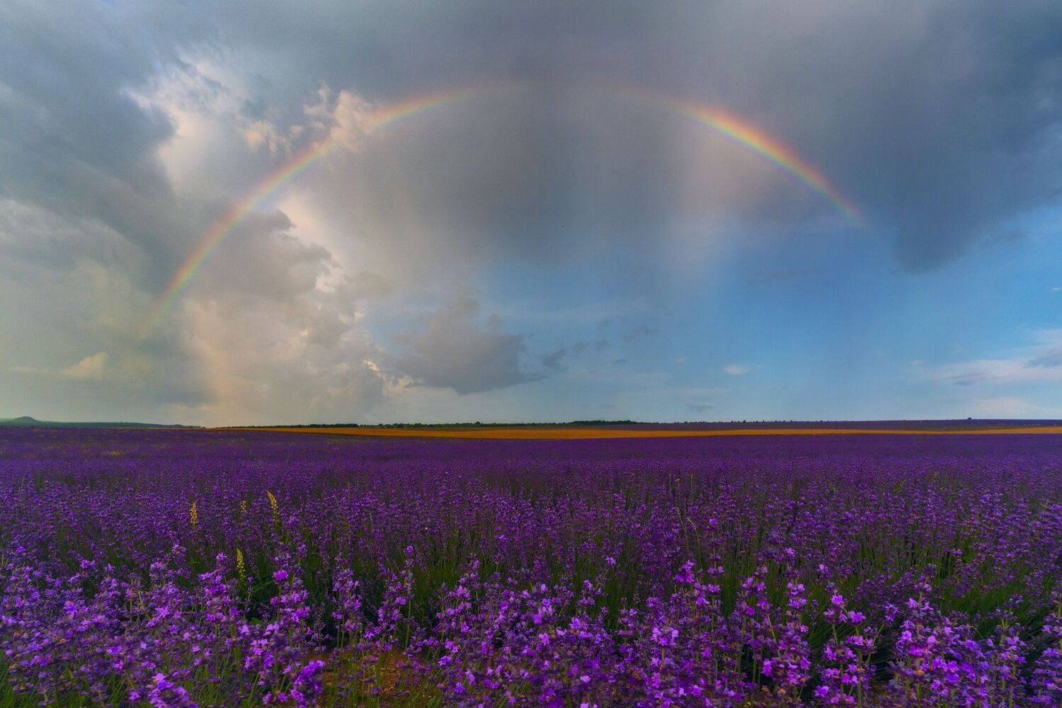 , Юлия Мальцева