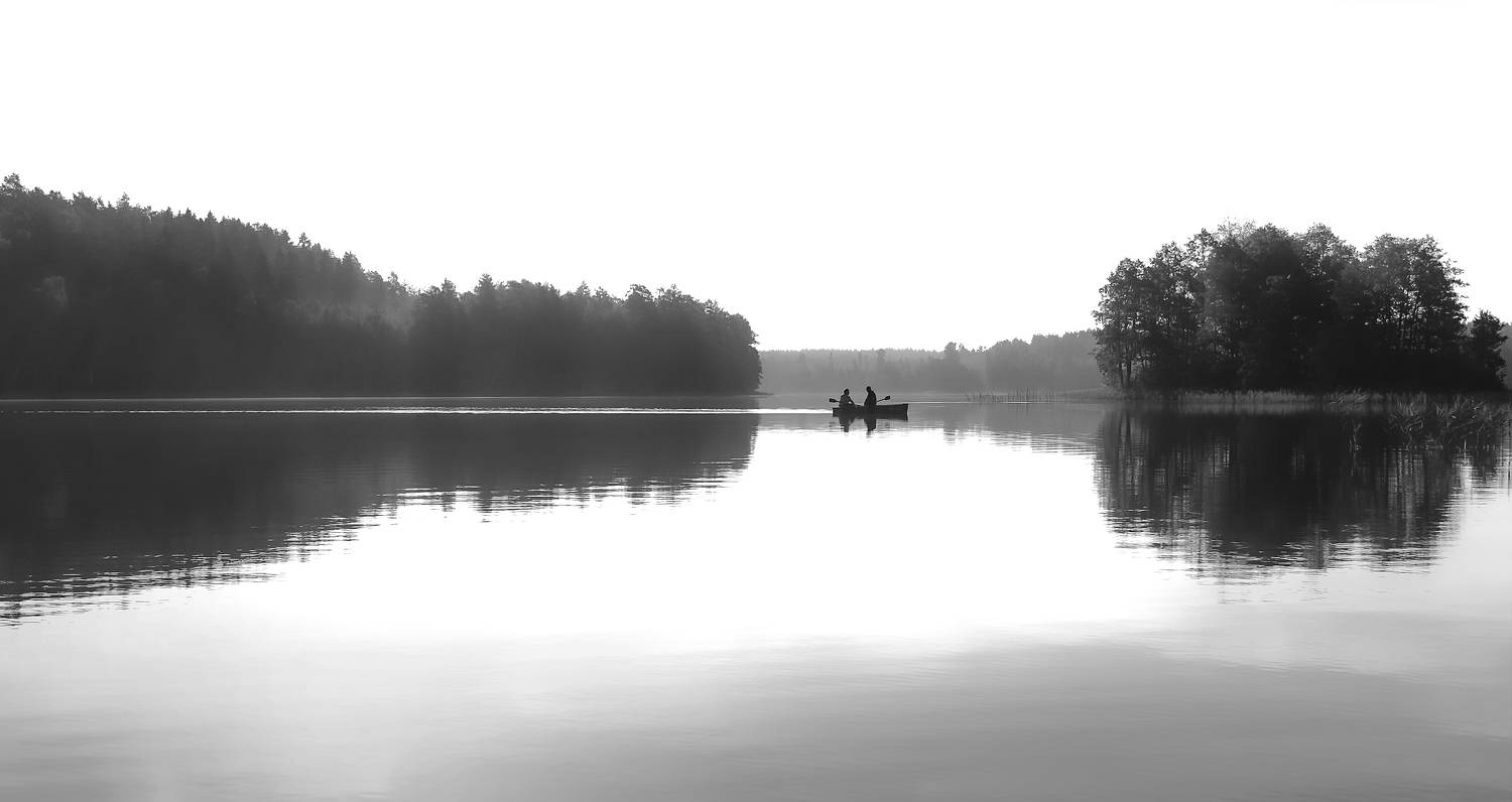 пейзаж, лето, монохром,  Sixten (Сергей)