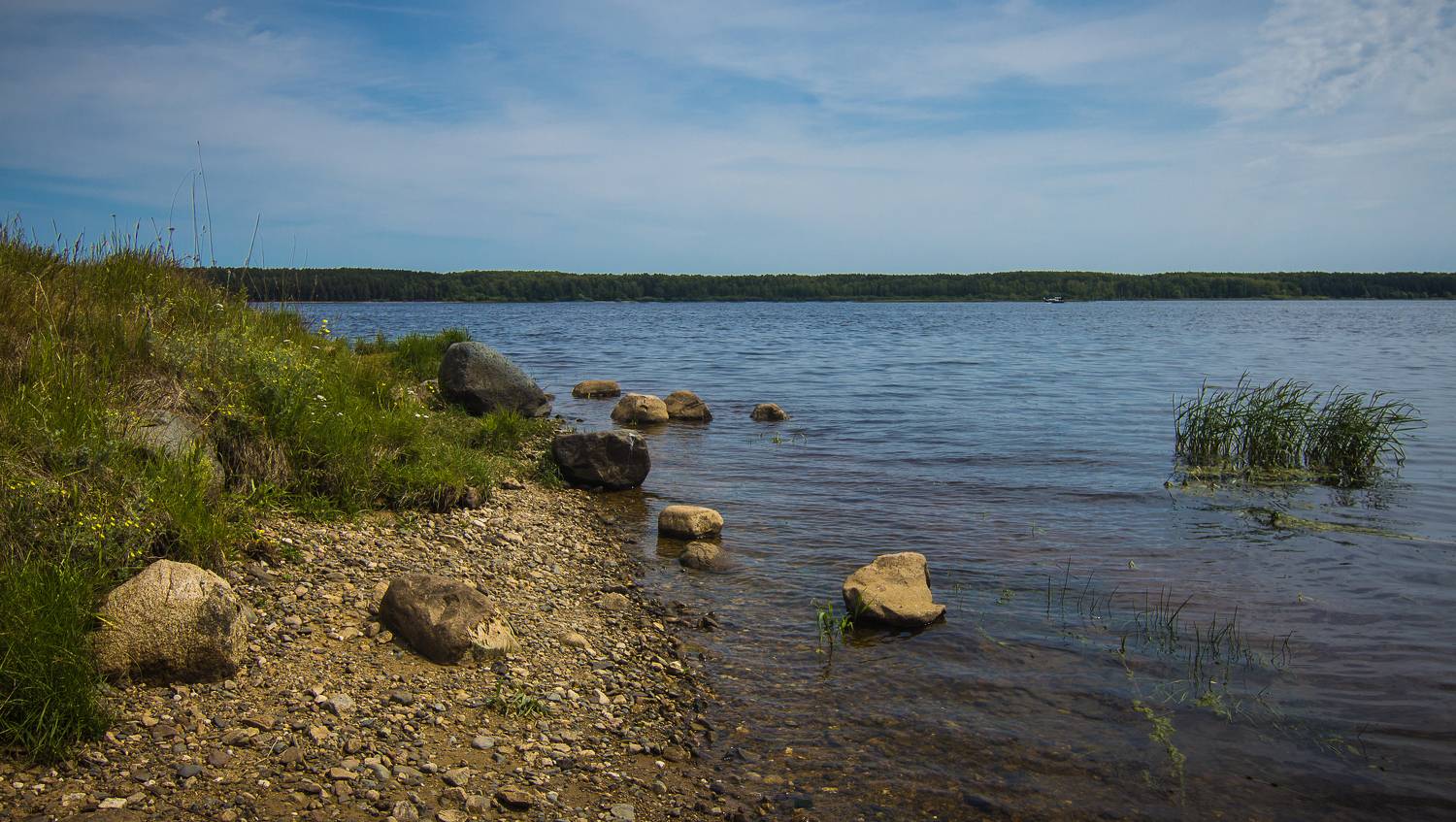 , Хвойнова Елена