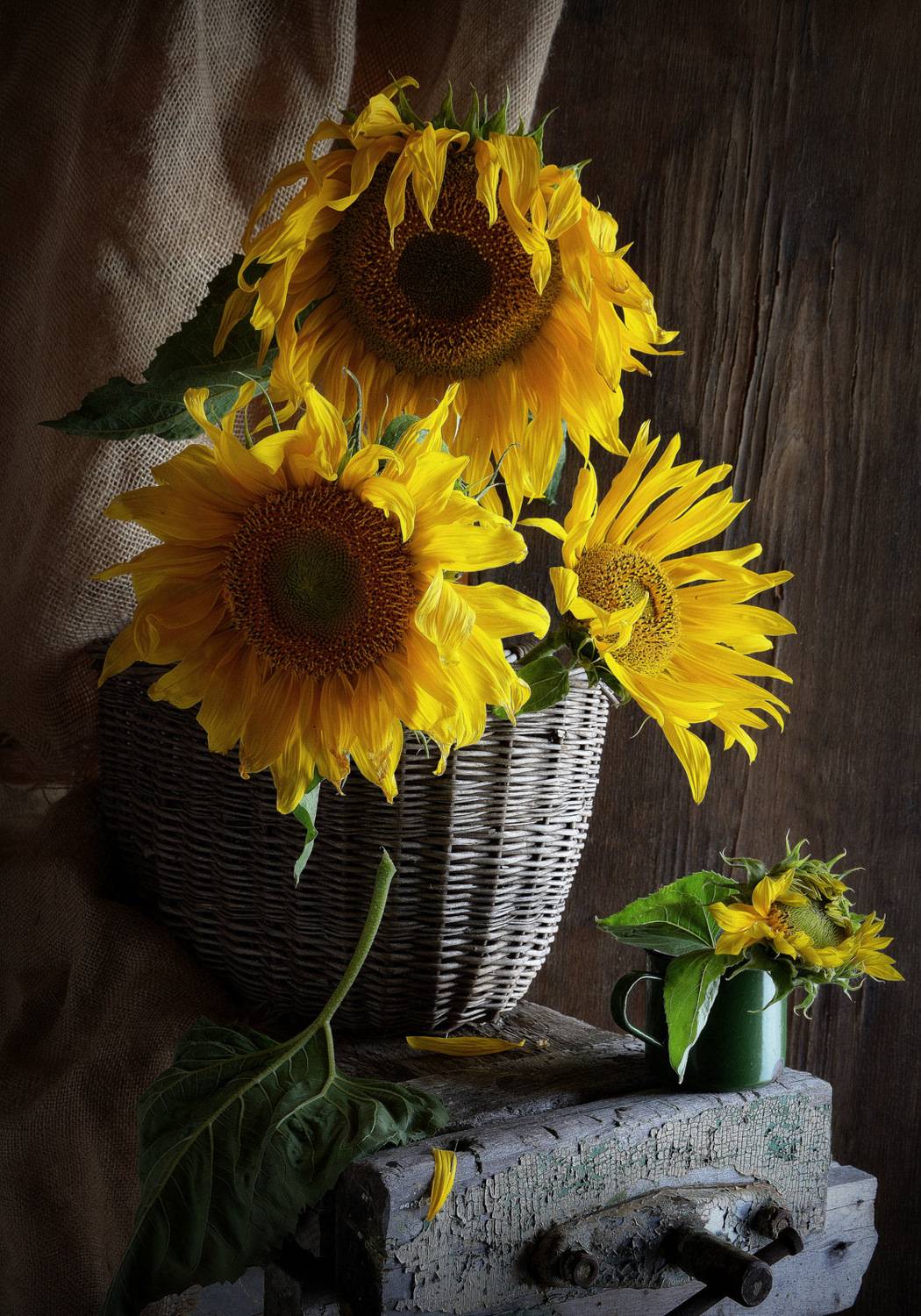 сергей алексеев, натюрморт, Сергей Алексеев