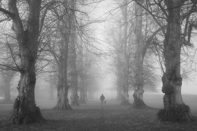 Прогулка фото превью