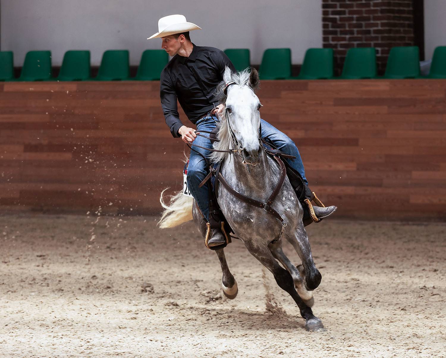 спорт,вестерн, соревнования, horses, movement, sport, competition, Стукалова Юлия