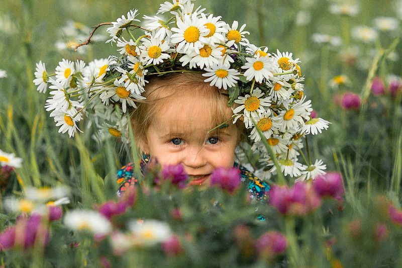 дети, лето, ромашки, веночек, детская фотосессия  фото превью