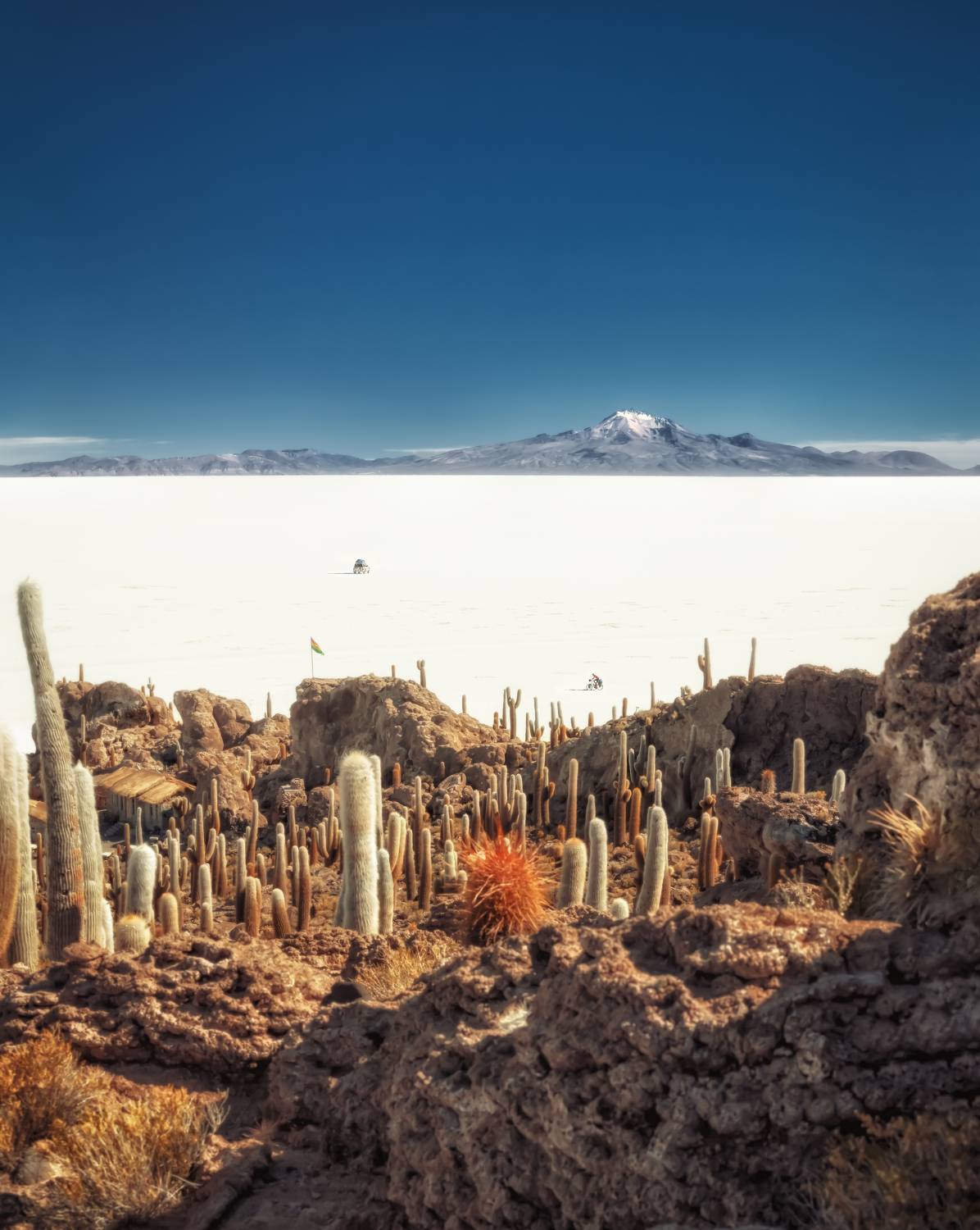 uyuni, bolivia, incahuasi island, остров кактусов, солончак уюни, боливия, Andrey Chabrov