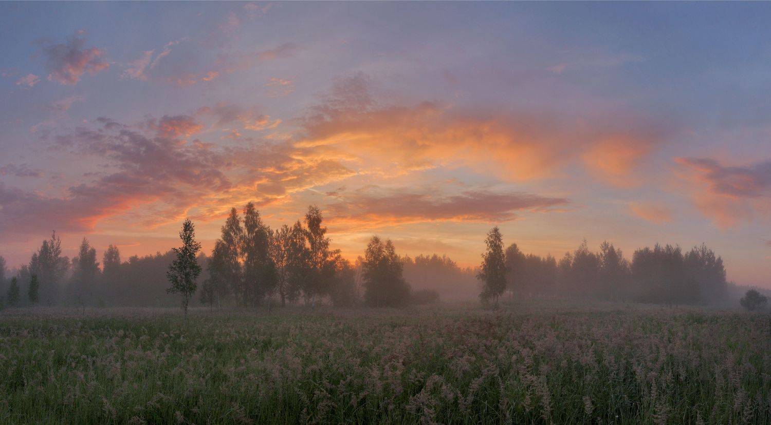 утро, поле, лес, Александр Свистков