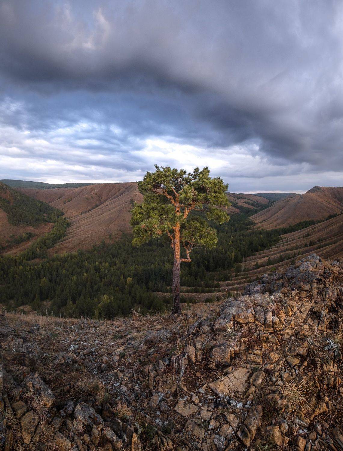 , Вадим Коротеев
