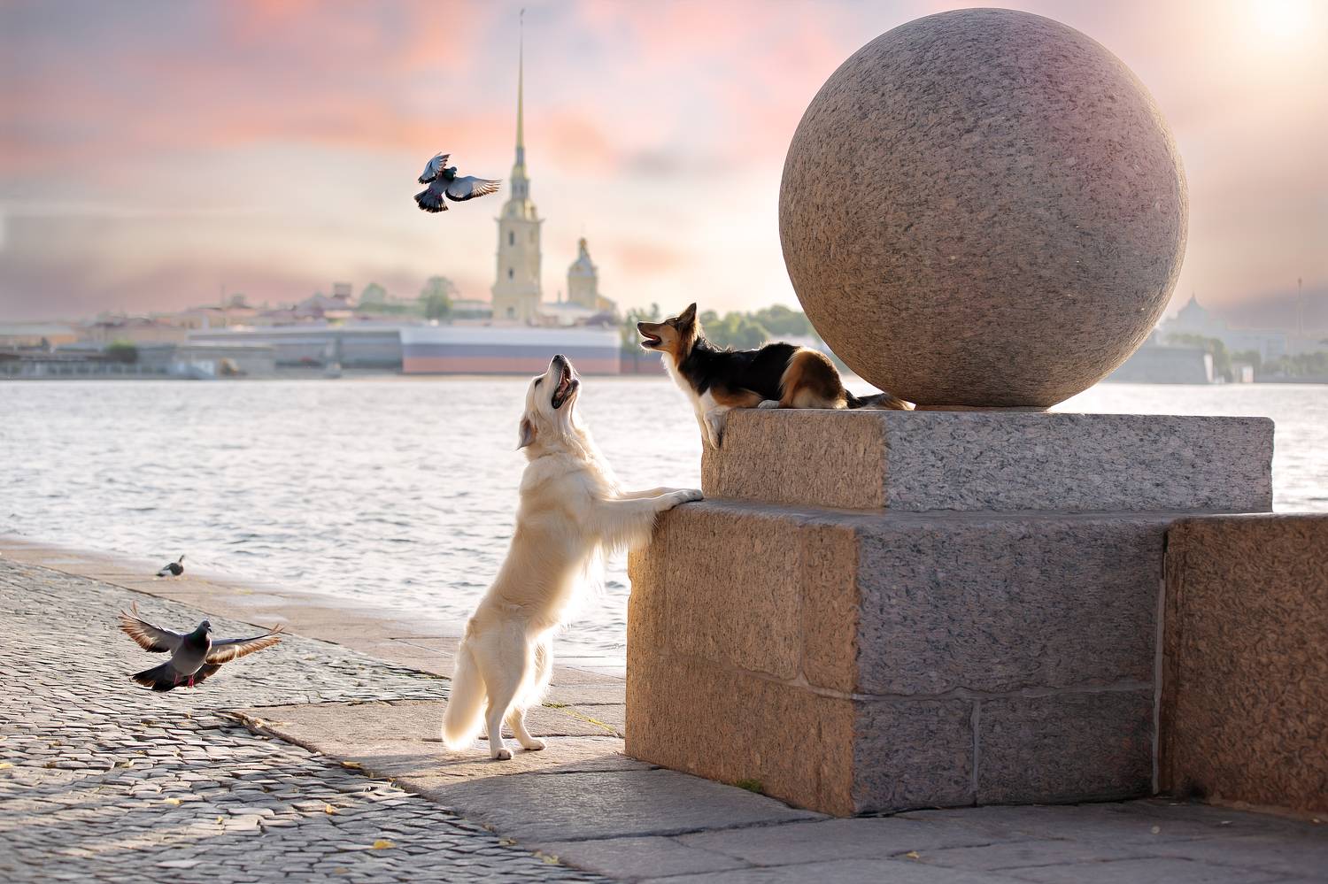 , Светлана Писарева