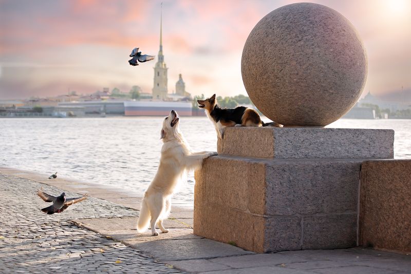 На рассвете фото превью