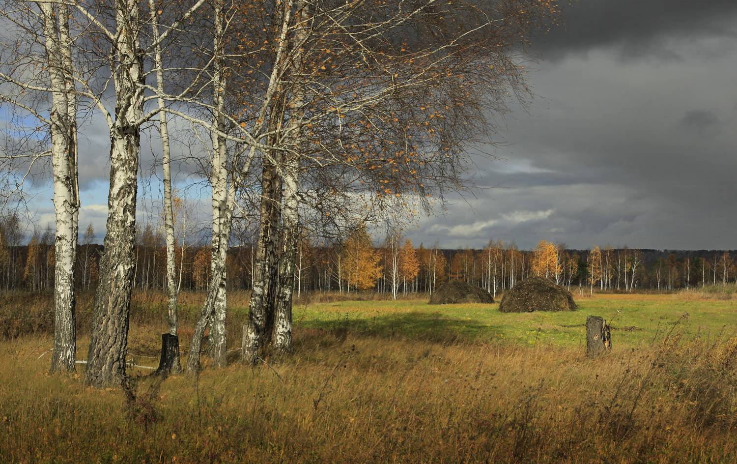 , Алексей Хахлов