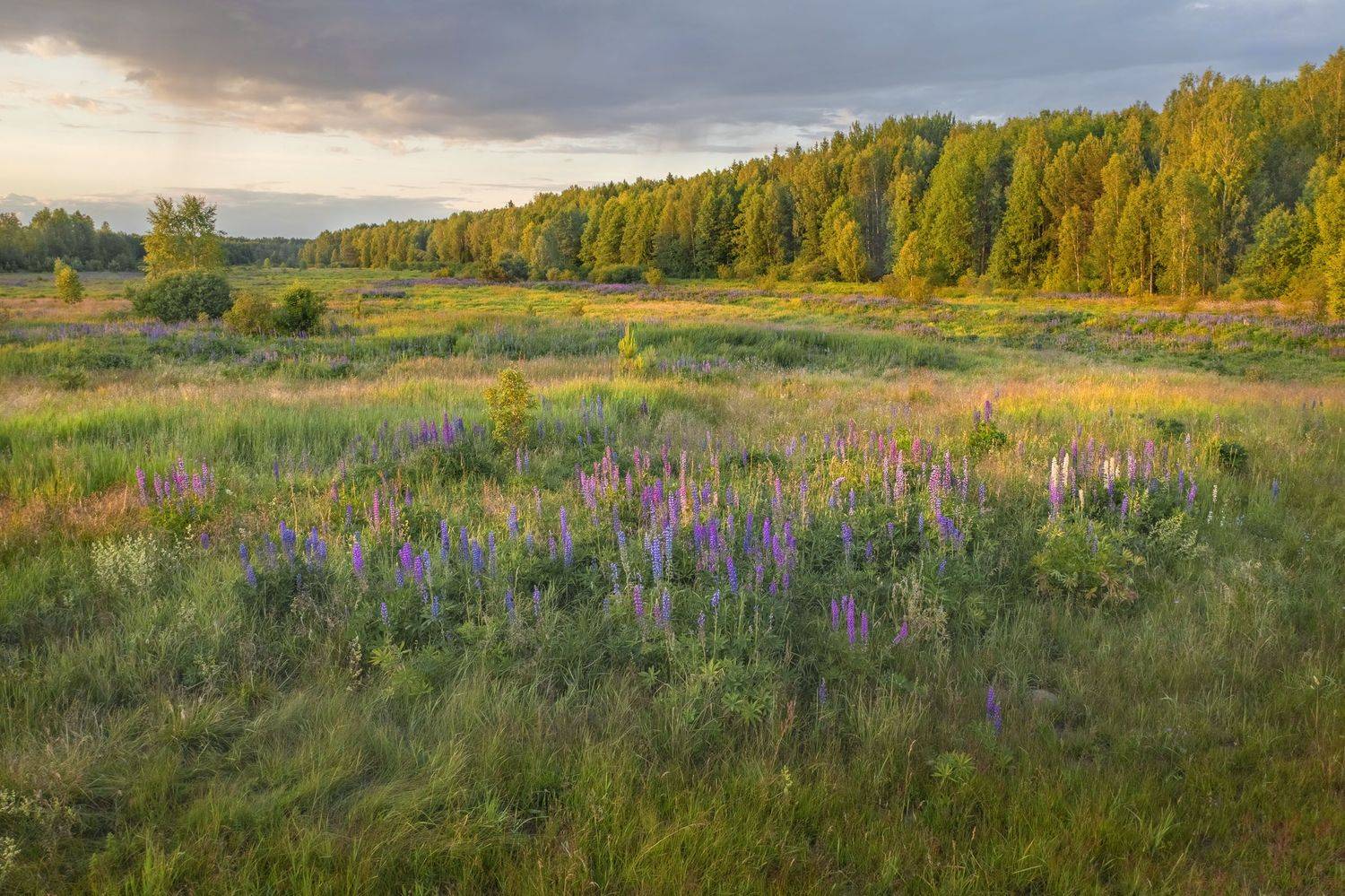Фототуры с Владимиром Рябковым, #topnature #russpasibo #magic_shots #lovelyRussia #sunset_vision #exclusive_sky  #exclusive_shots #loves_russia2 #photoarena_nature #nature_sultans #nature_perfection #rsa_sky #rsa_sunset #photorussia #rsa_naturepics #sunse, Владимир Рябков