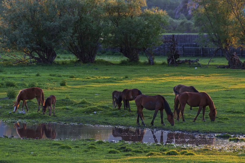 фото превью
