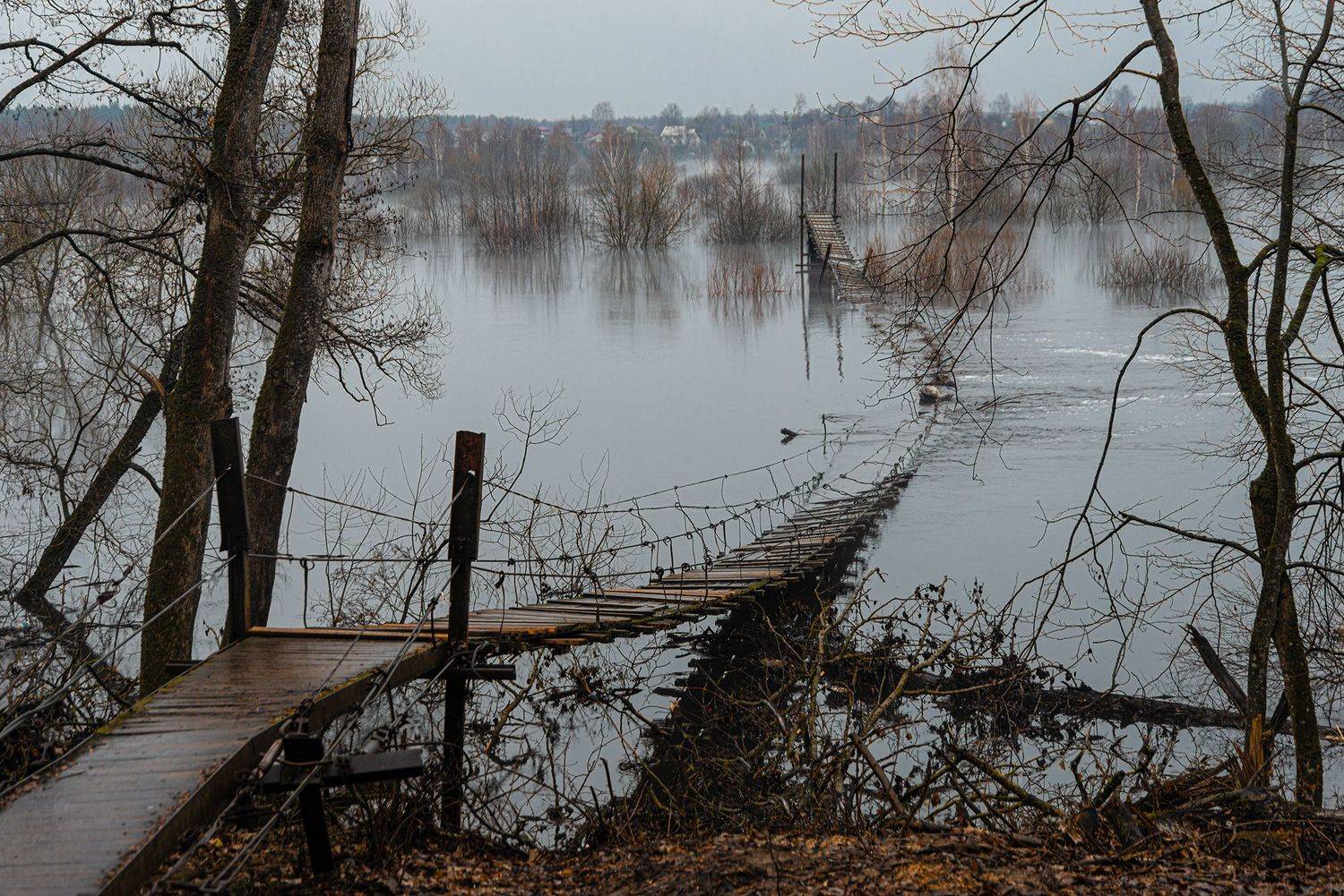 , Владимир Ноздрачев