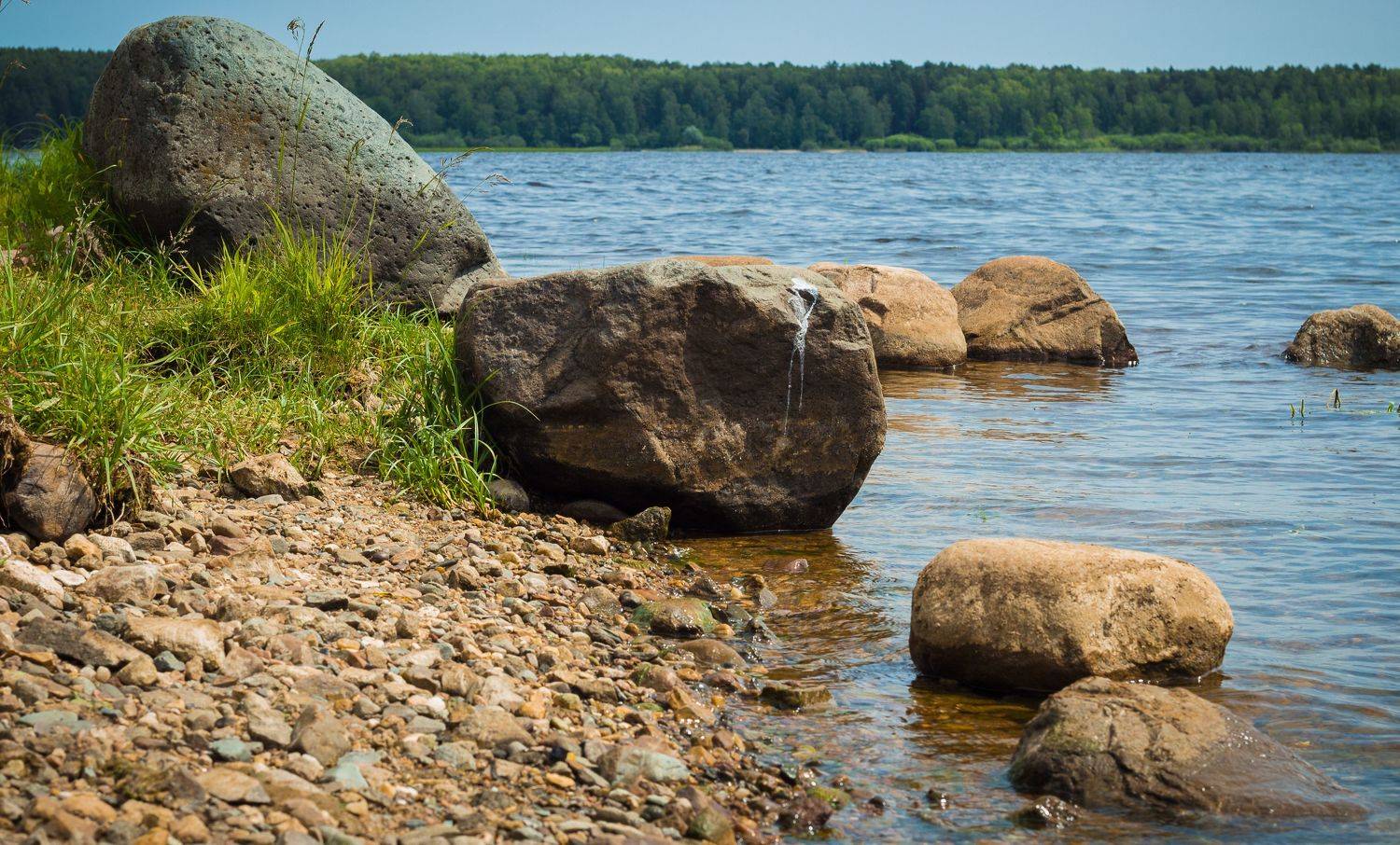 , Хвойнова Елена