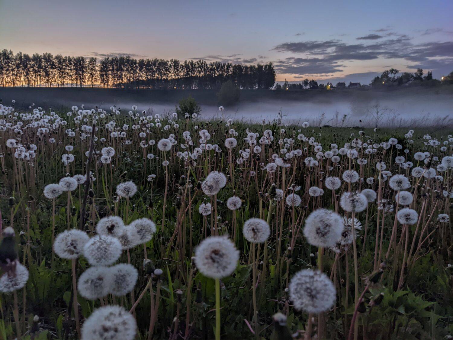 , Светлана Кондрашова