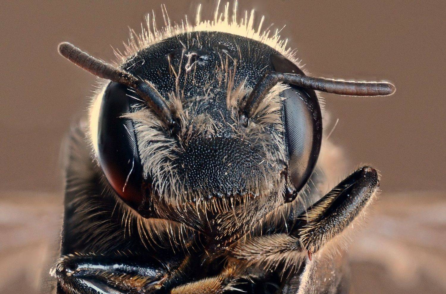 nikon, d7100, Ercan Yurt