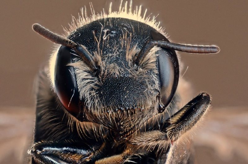 nikon, d7100 ++++ фото превью