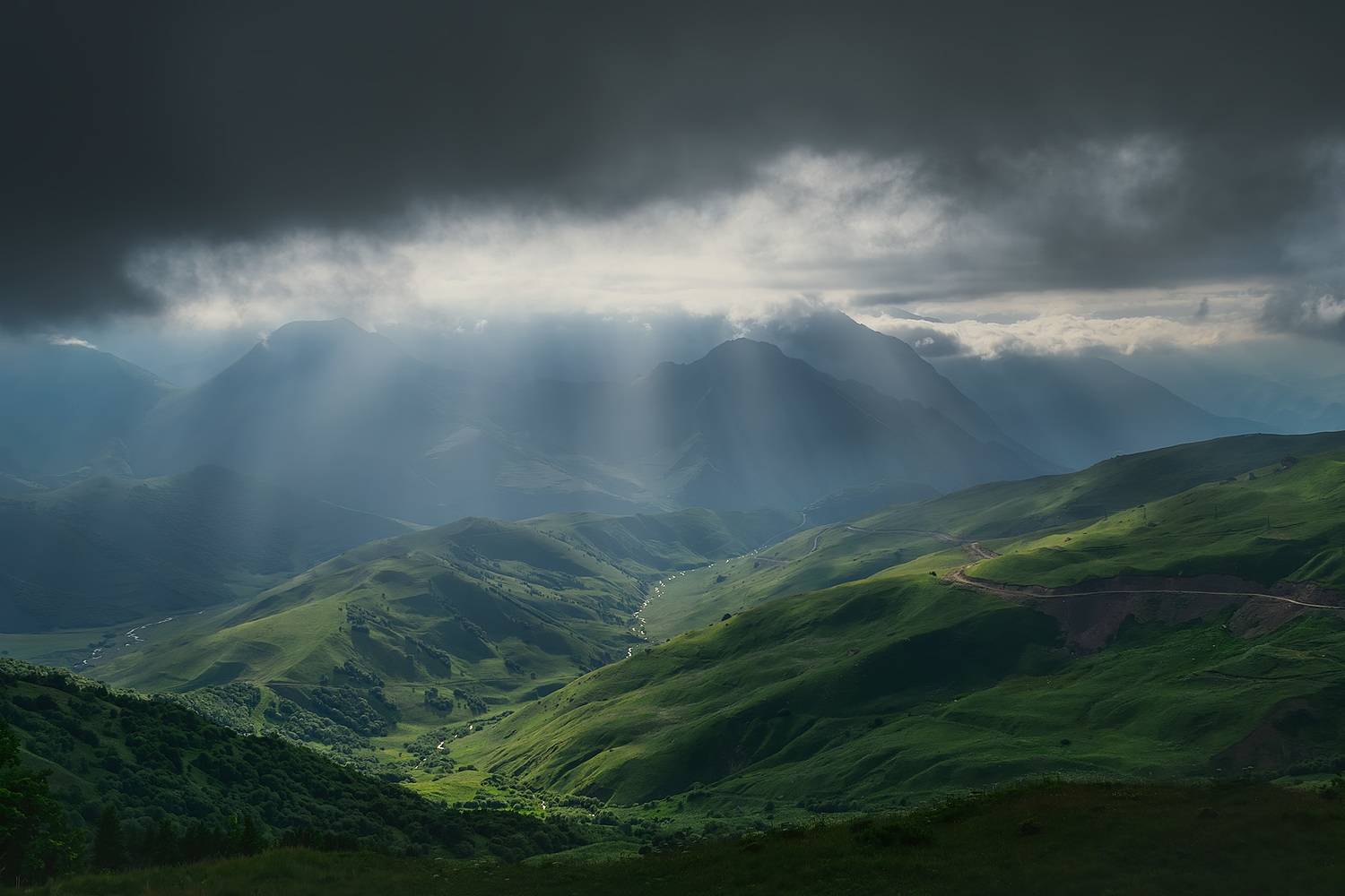 , Алиева Татьяна