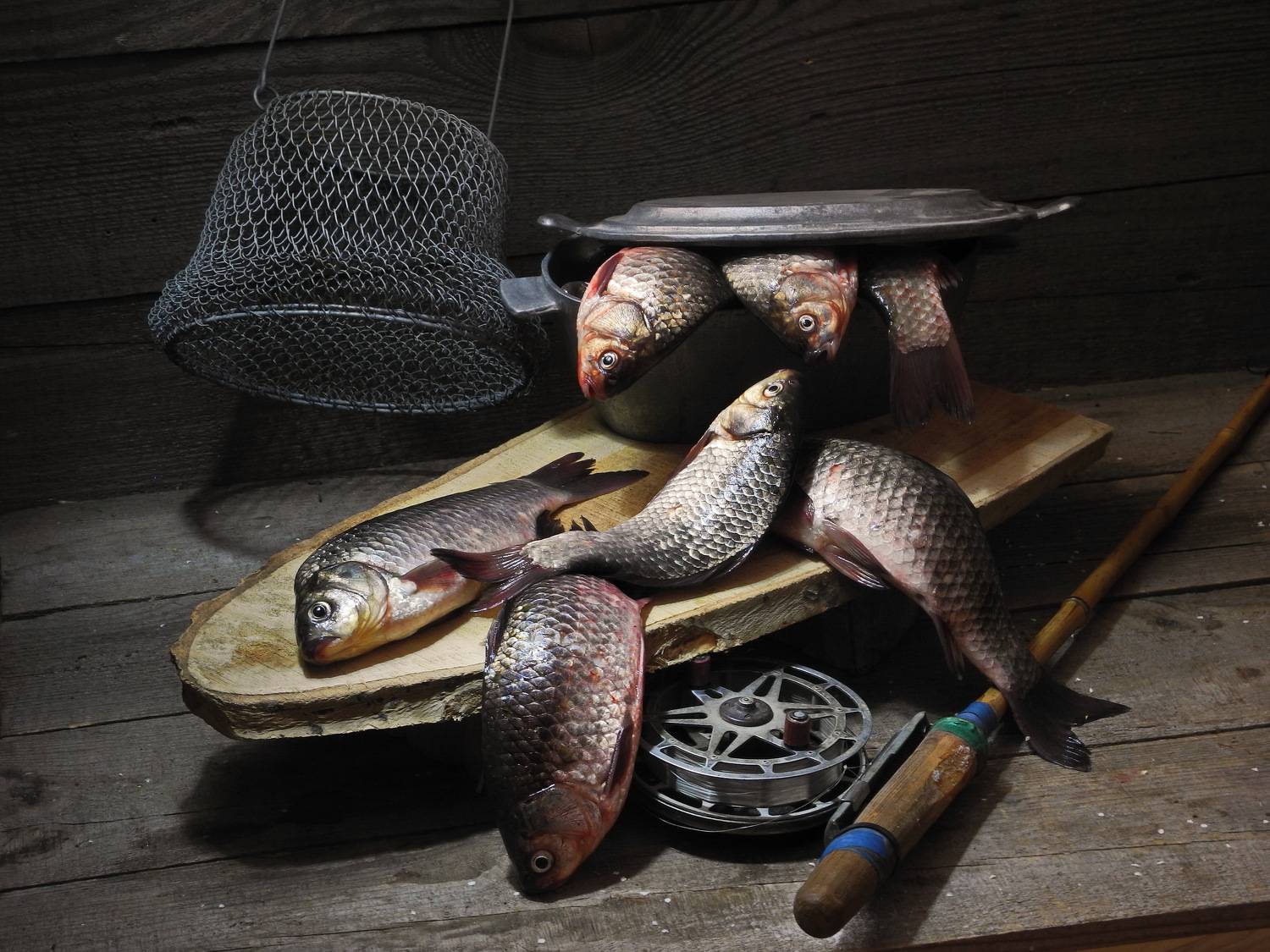 рыба, рыбалка, карась,б лещ, плотва, карп, сазан, спиннинг,, Сергей Фунтовой