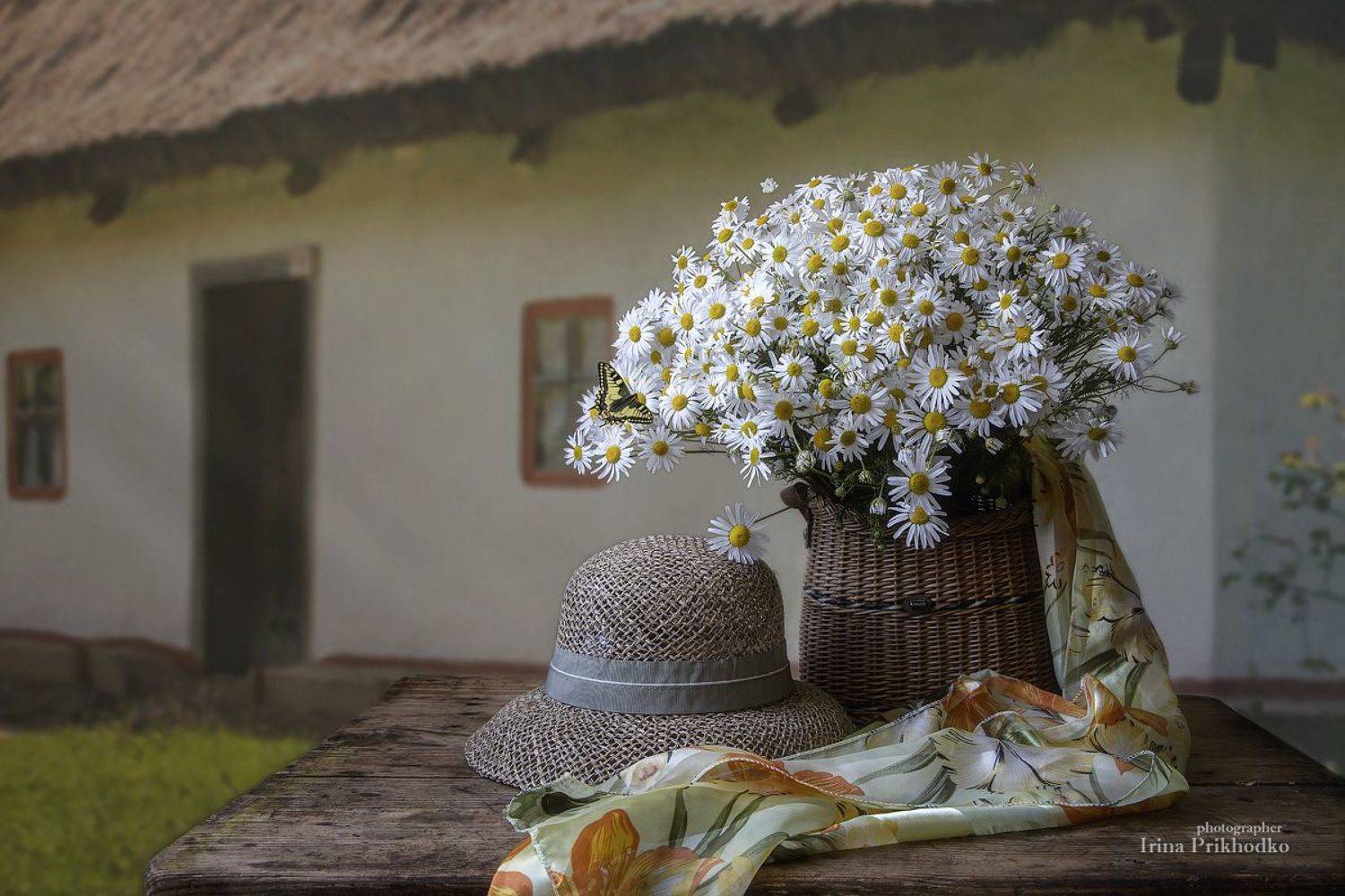 натюрморт, цветы, ромашки, букет, пленэр, деревенский дом, Приходько Ирина