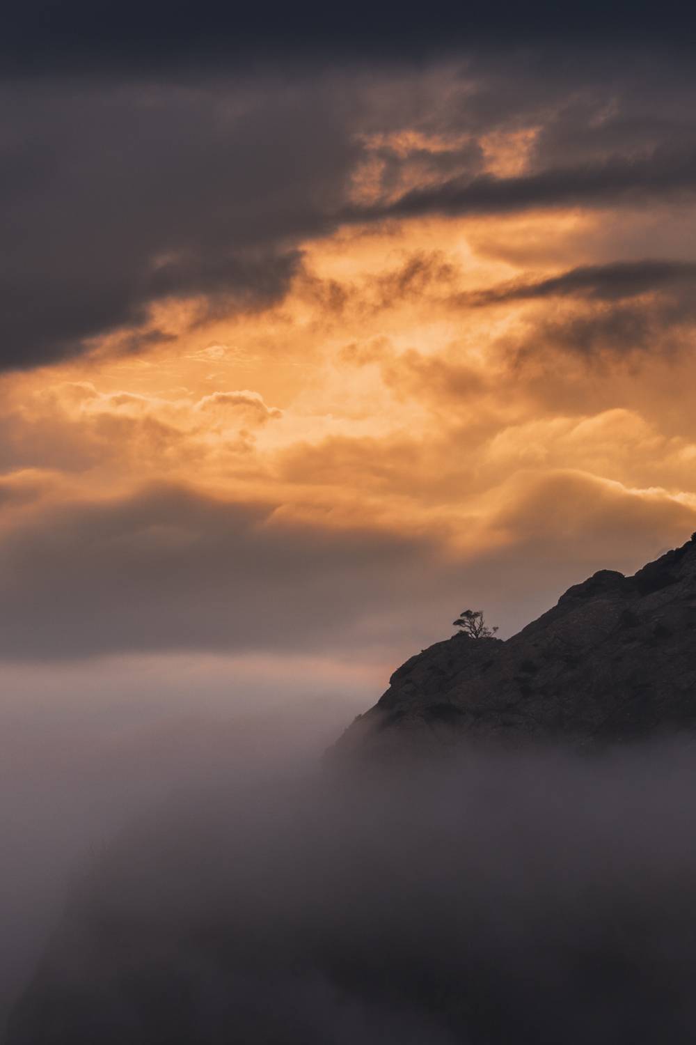 , Кривцов Андрей