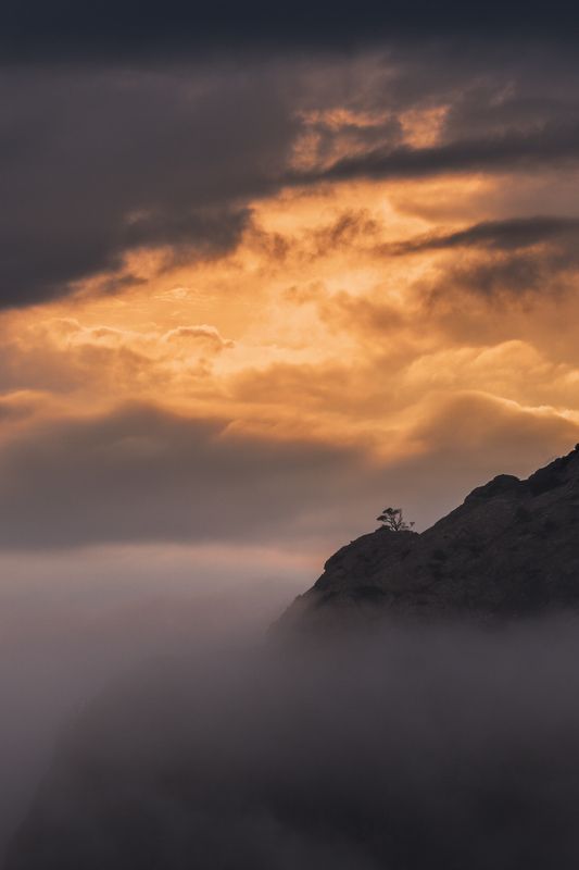 Вырвавшись из тумана фото превью