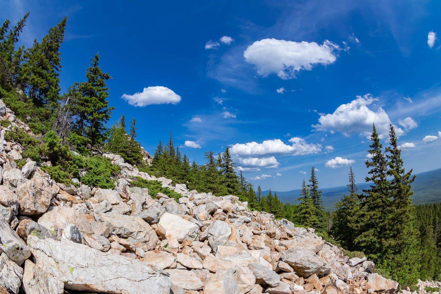 , Алексей Середенин