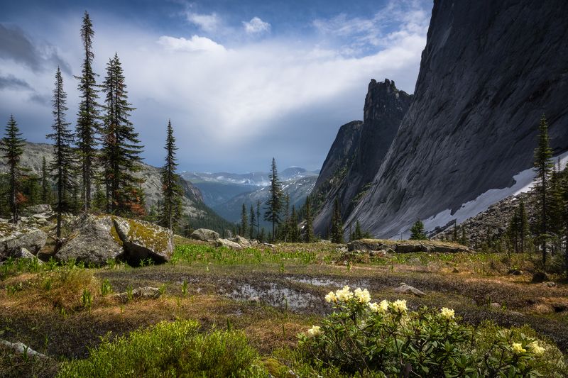ергаки Долина реки Тайгишонок. Ергаки фото превью