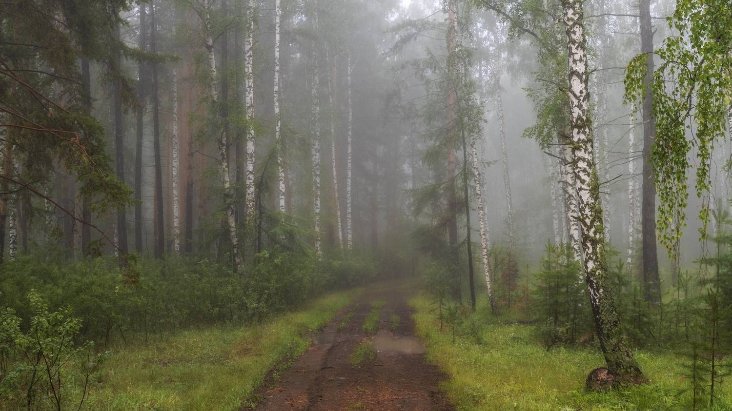 , Таипов Ильгиз