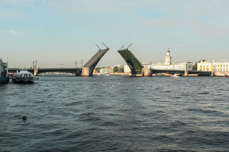 Санкт-Петербург. Дворцовый мост. фото превью