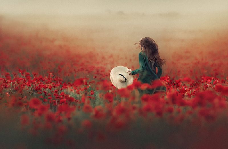 *** фото превью