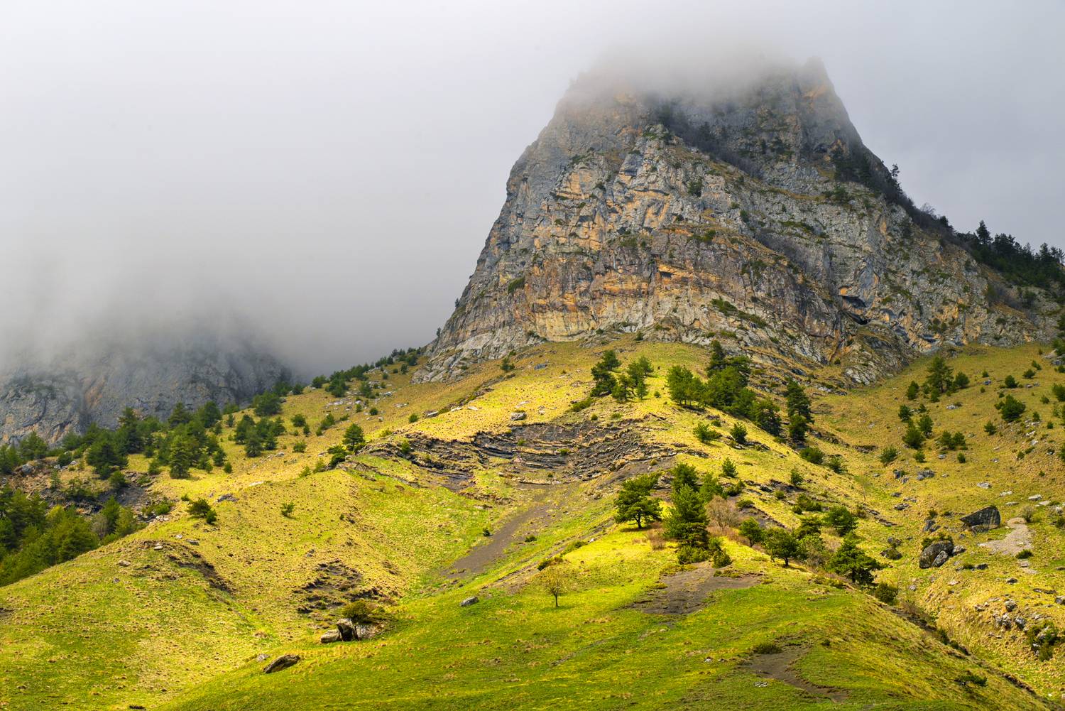 , Лесина Елена