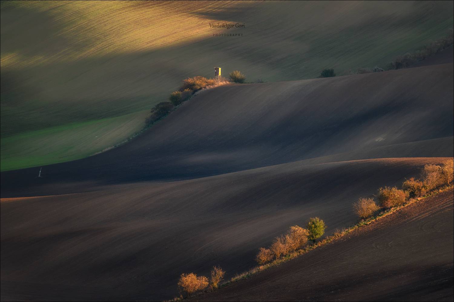 южная моравия,пейзаж,линии,south moravian,lines,свет,czech,осень,чехия,landscapes,, Гори Василий