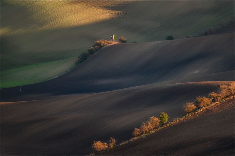 южная моравия,пейзаж,линии,south moravian,lines,свет,czech,осень,чехия,landscapes, Ложатся первые лучи... фото превью