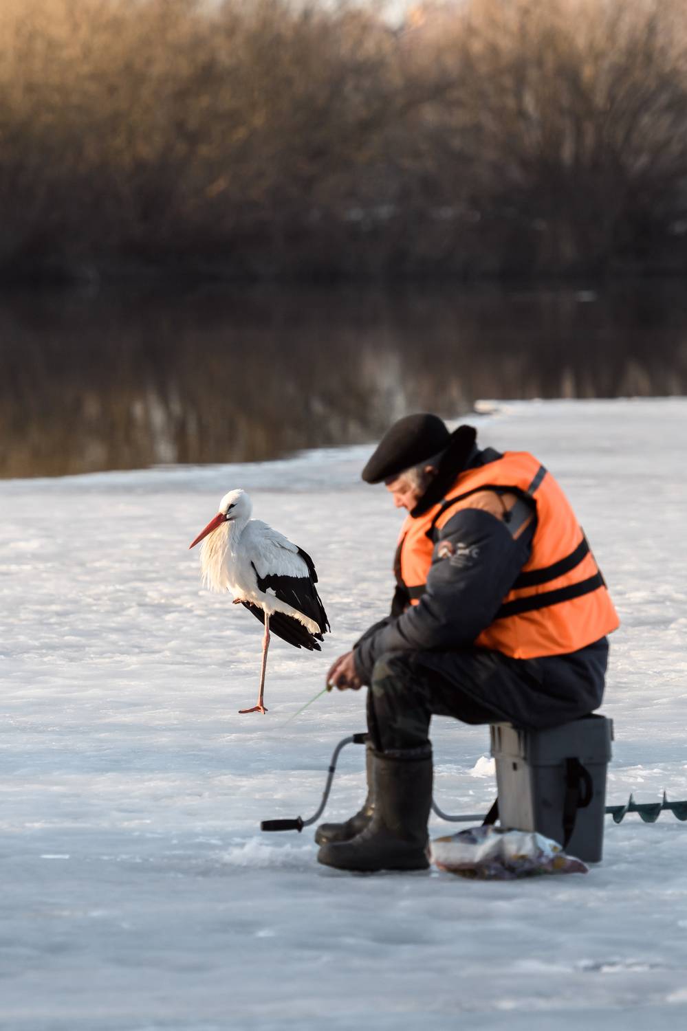 , Юлия Лаптева