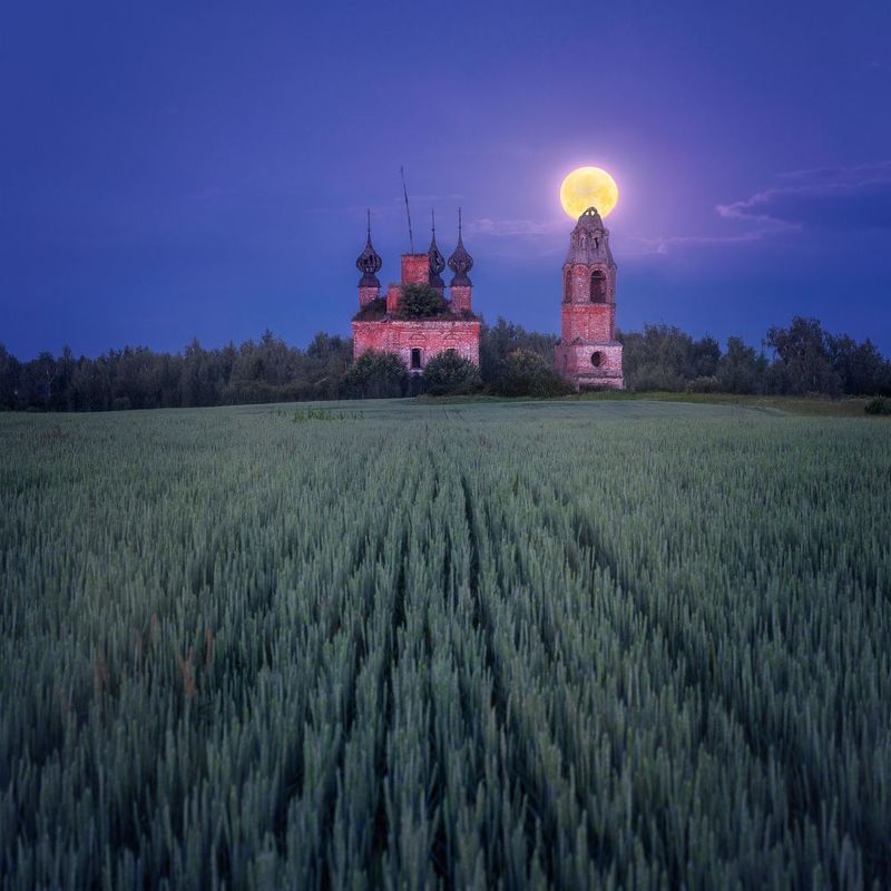 фото превью