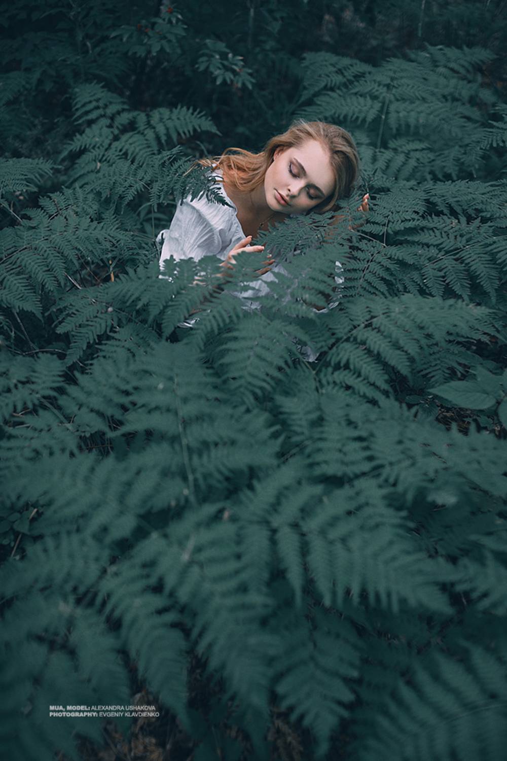 , Евгений Клавдиенко