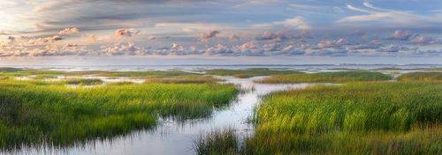 Залив у дамбы С-Петербурга