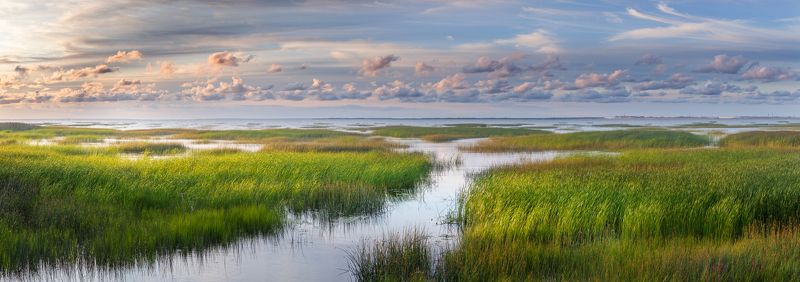 залив, панорама, балтика, санкт-петербург, дамба, камыш, облака, небо, закат, природа, пейзаж, красиво, умиротворение Залив у дамбы С-Петербурга фото превью
