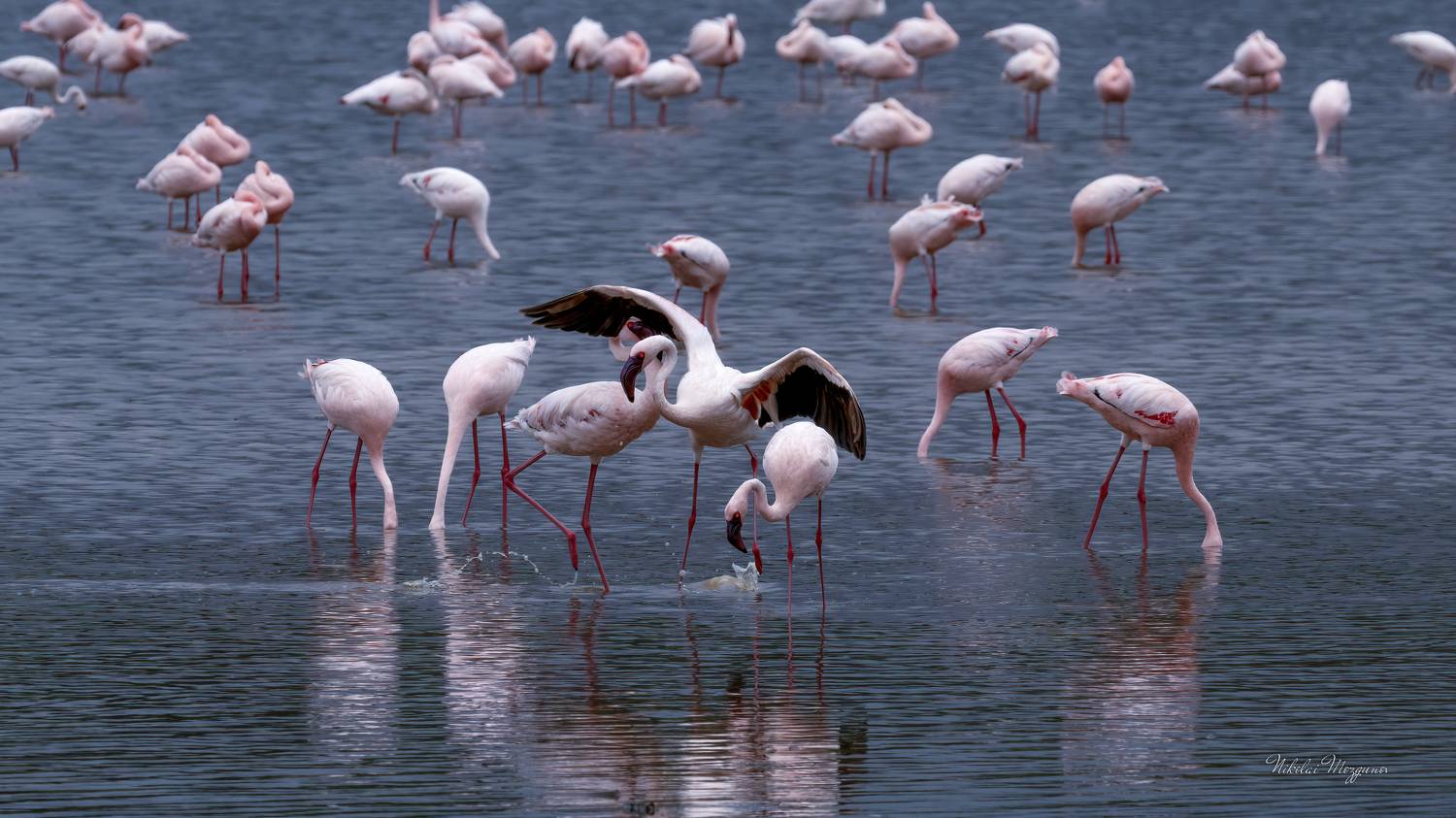 , Николай Мозгунов