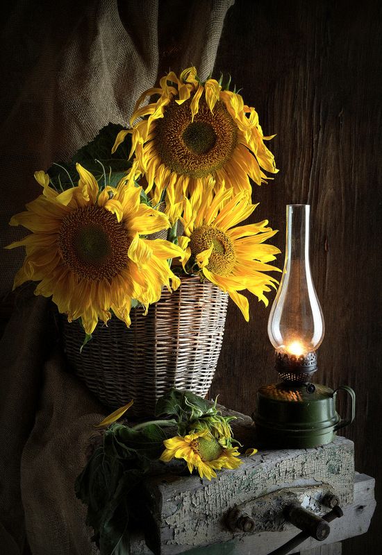 сергей алексеев, натюрморт Подсолнечное затмение фото превью