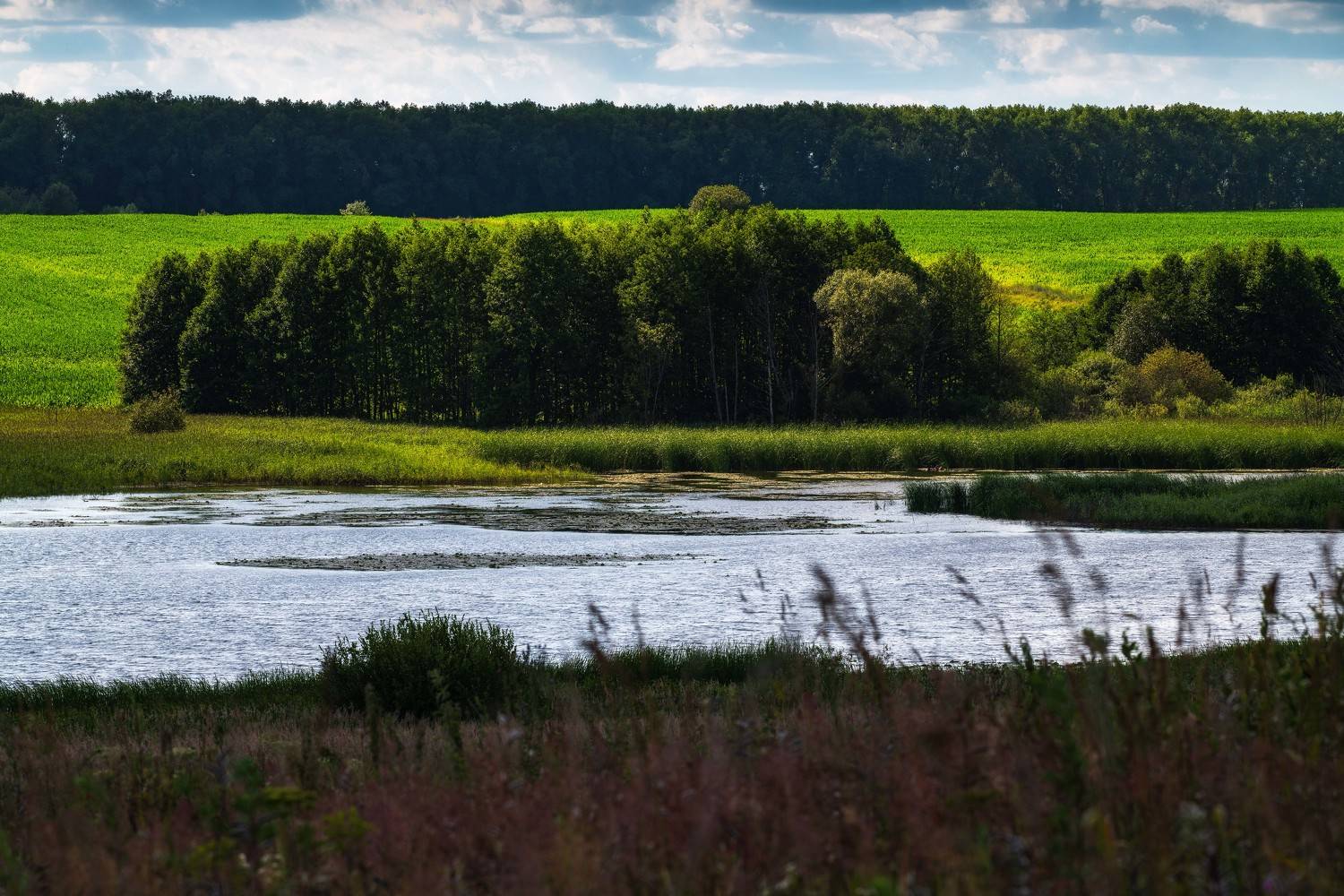 пейзаж,лето,река,природа,поле,брянскаяобл,облака,россия, Павел Ныриков