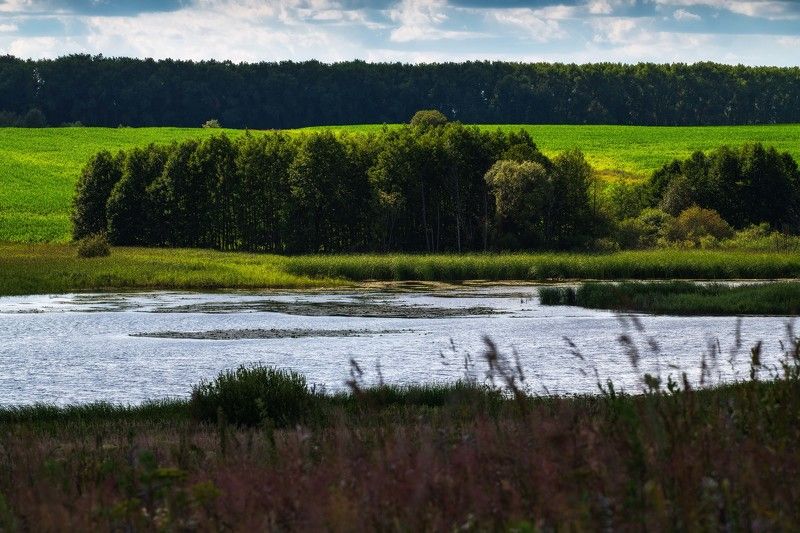 пейзаж,лето,река,природа,поле,брянскаяобл,облака,россия Облачный день (За светом, тень...) фото превью