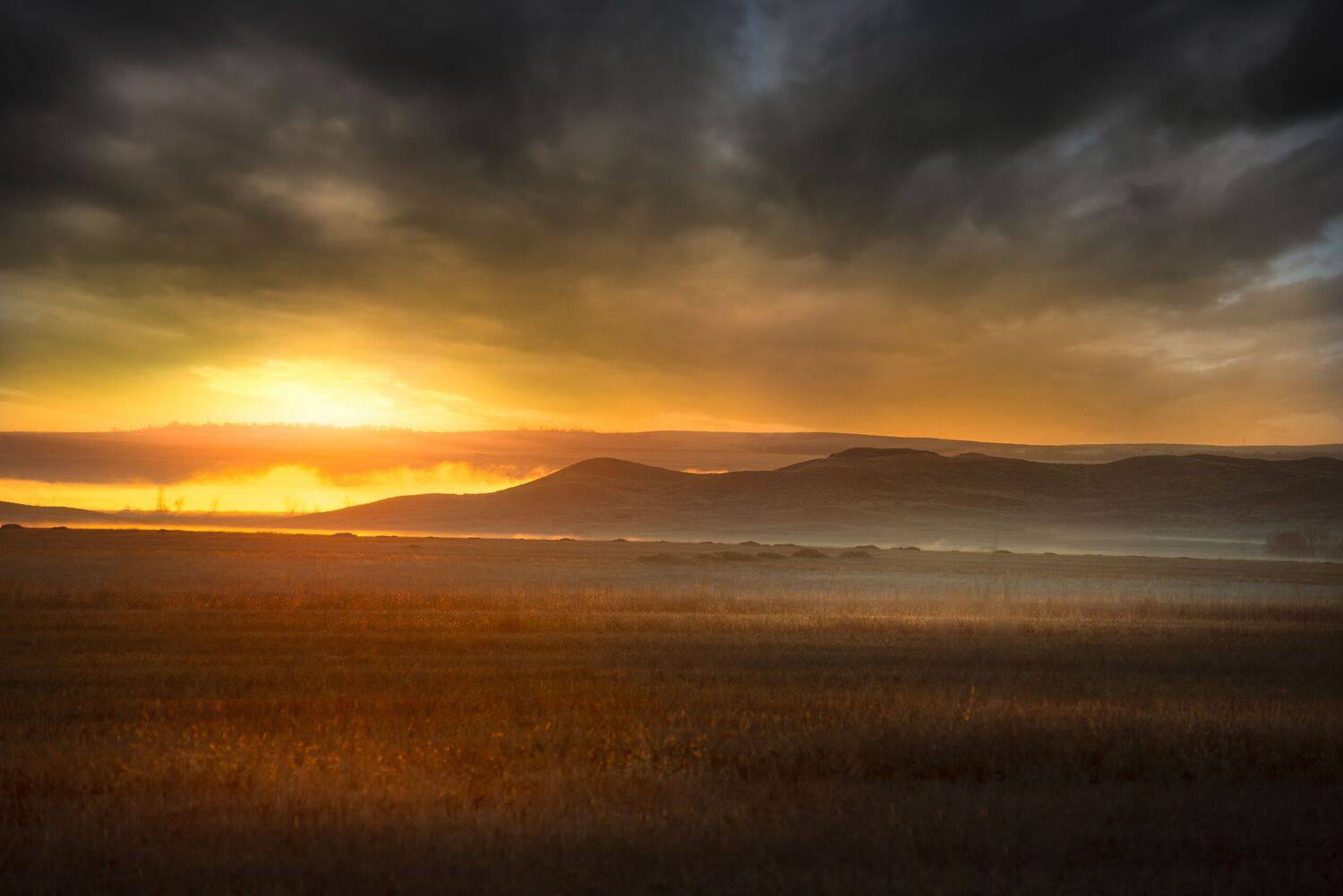 , Антонов Антон