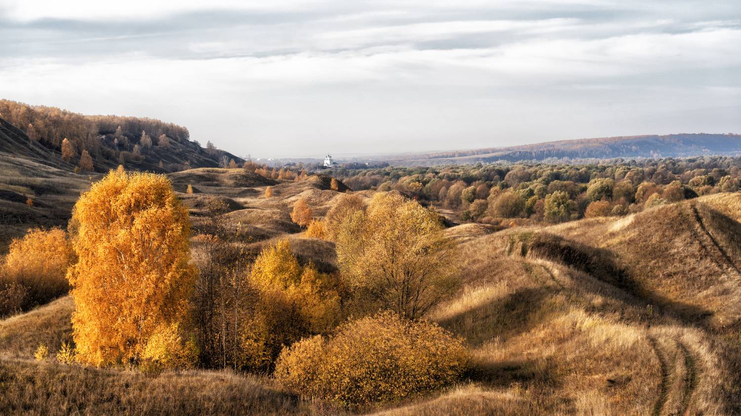 , Колесов Андрей
