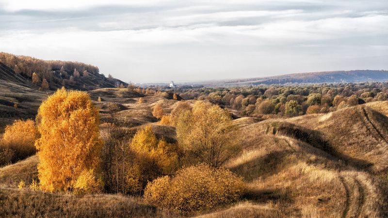 Лысково фото превью
