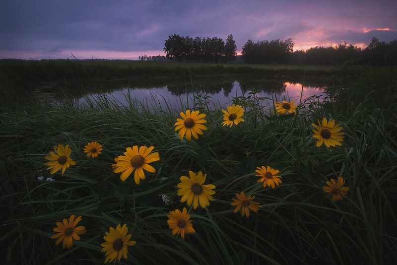 Вечер у пруда фото превью