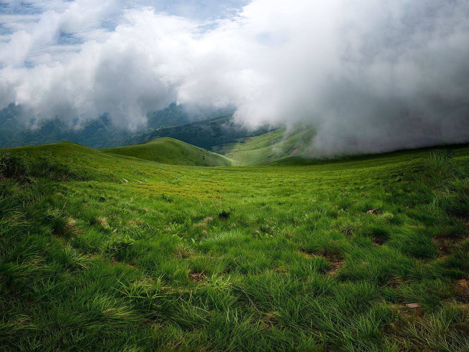 пейзаж, пейзажная фотография, пейзажи, миджор, сербия, горы, путешествие, landscape, landscapes, landscape photography, Кармаков Матвей