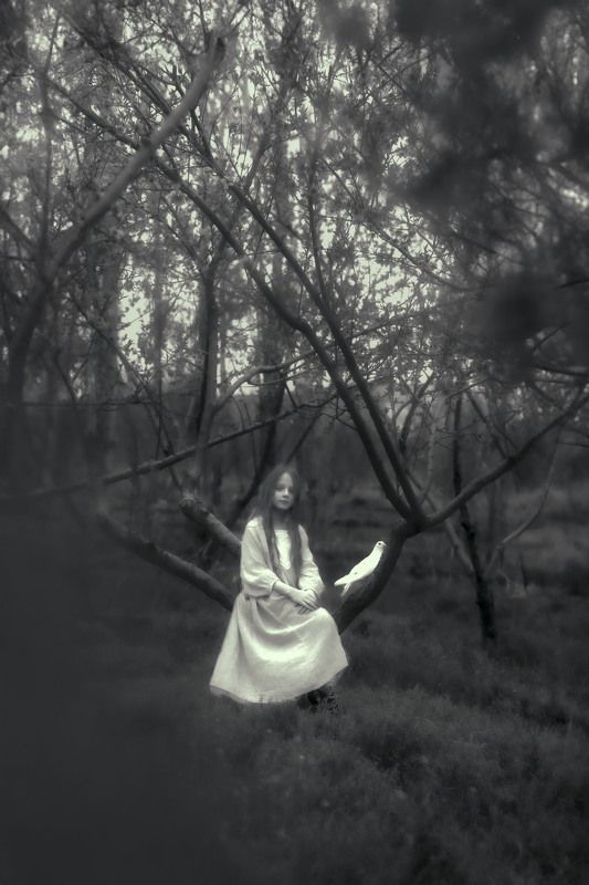 sara фото превью